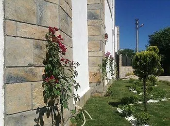 Cotton Boutique Hotel 3*