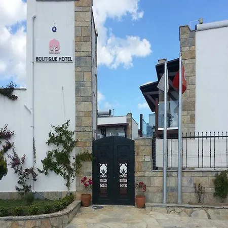 Cotton Boutique Hotel 3*