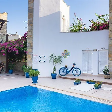 Отель Cotton Boutique 3*