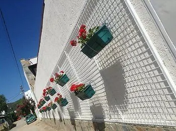 Hotel Cotton Boutique 3*