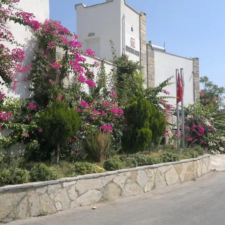 Cotton Boutique Отель