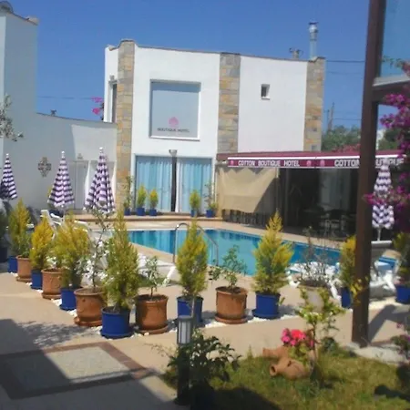 Отель Cotton Boutique 3*