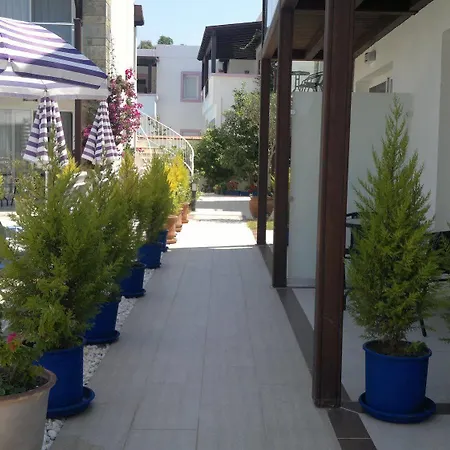 Hotel Cotton Boutique Bitez